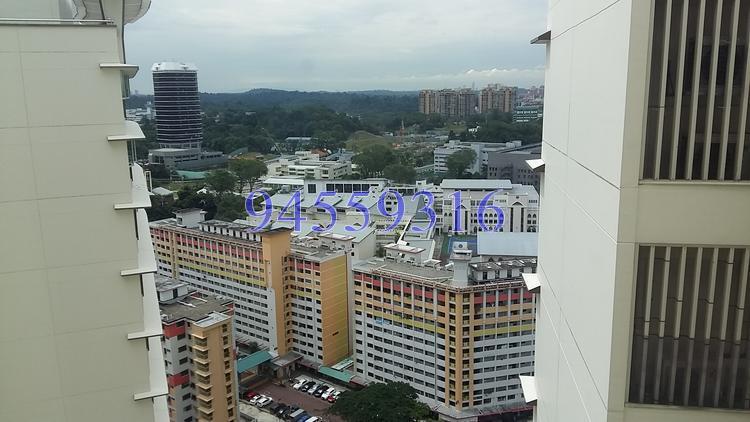 Trellis Towers (D12), Condominium #154323842
